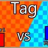2-Player-Tag img