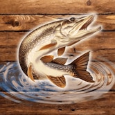 Fish-Rain img