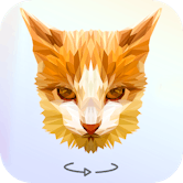 Poly-Art img