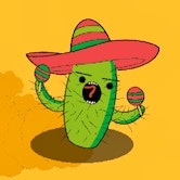 Saguaro - play Saguaro Saguaro - play Saguaro img